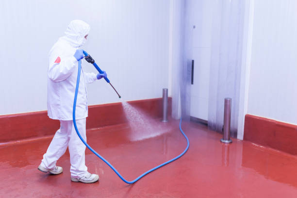 Best Building Exterior Washing  in University At Buffalo, NY
